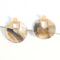 Colorful Resin Round Earrings