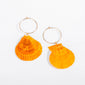 Natural Conch Scallop Earrings